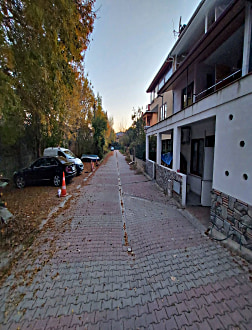 Genel